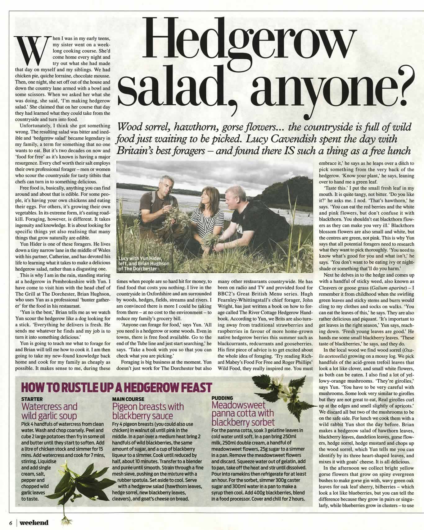 Hedgerow Salad, Anyone?